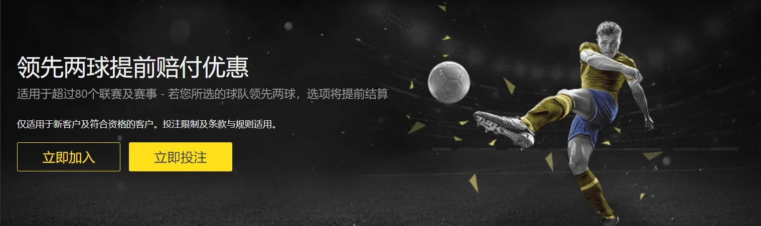 NG娱乐体育独家解析：2026欧洲杯夺冠热门与滚球投注技巧